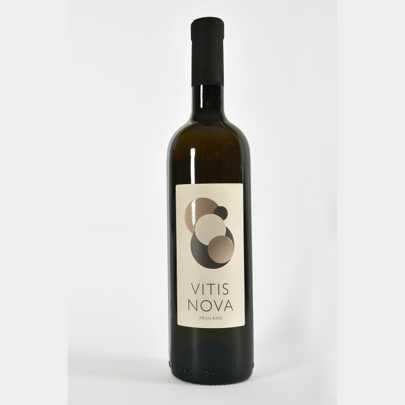 Friulano DOC Friuli Colli Orientali 2024 -  VitisNova