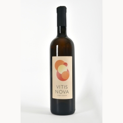 Pinot grigio DOC Friuli Colli Orientali 2024 - VitisNova