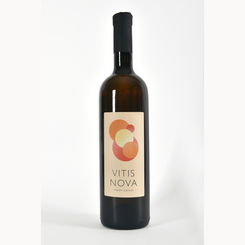 Pinot grigio DOC Friuli Colli Orientali 2024 - VitisNova
