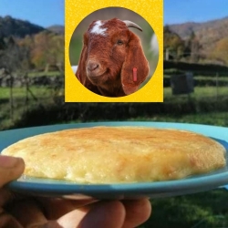 Frico al formaggio di capra - Bottega del Frico