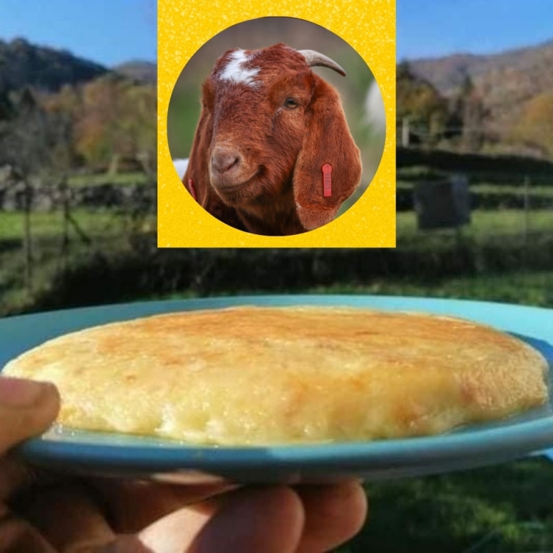 Frico al formaggio di capra - Bottega del Frico
