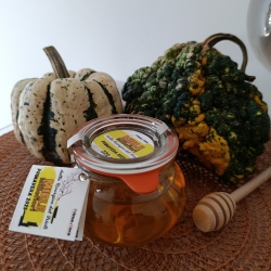 Millefiori delle Risorgive del Friuli Primavera 2025 - Primavera