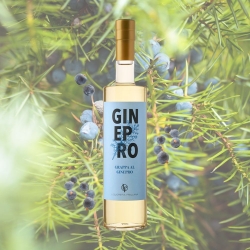 Grappa al ginepro - Liquoreria friulana