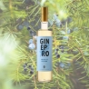 Grappa al ginepro - Liquoreria friulana - Grappe - Bottega del Friuli