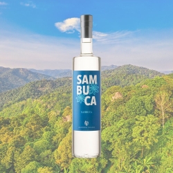 Sambuca - Friulian Liquor Shop