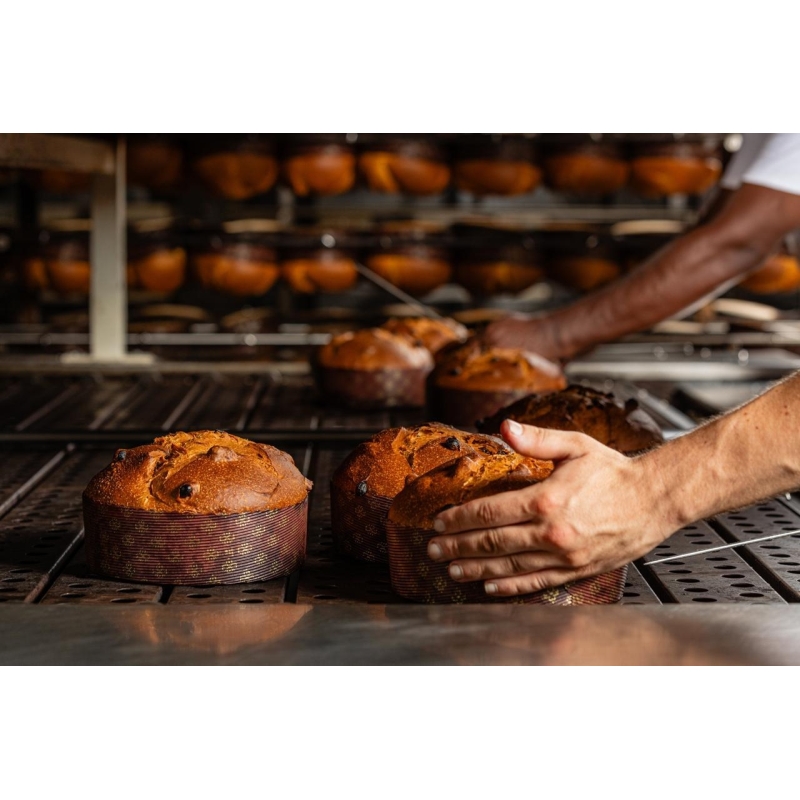 Panettone con uvette al Balsamico - Acetaia Midolini - Panettoni - Bottega del Friuli