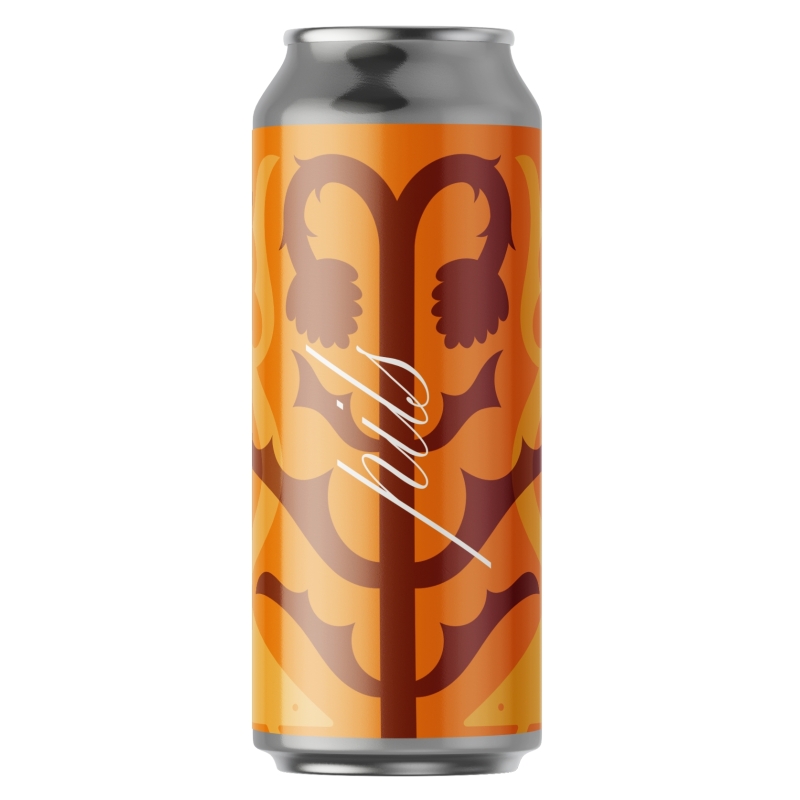 Smart birra artigianale Pils - 2 lattine - Villa Chazil