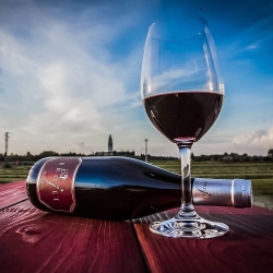 Refosco dal Peduncolo Rosso 2024 - Vini Brojli Aquileia