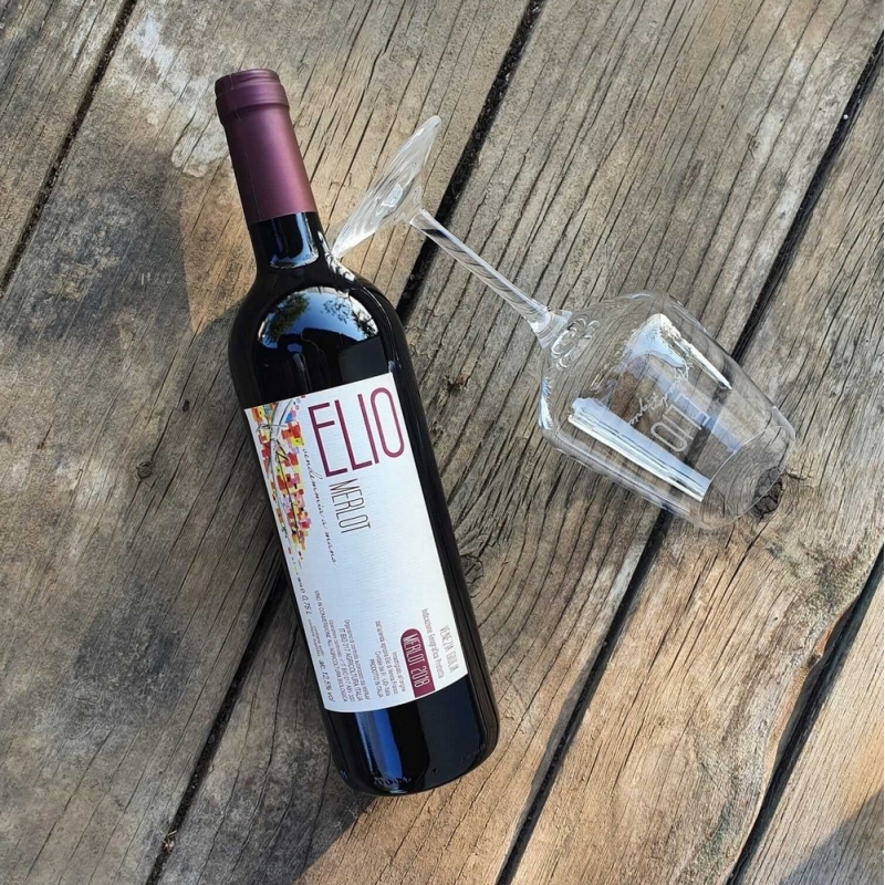 Merlot 2020 - Elio Vini