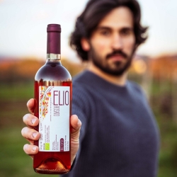 Bio-Roséwein 2021 – Elio Vini