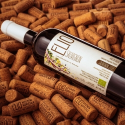 Sauvignon BIO 2020 - Elio Vini