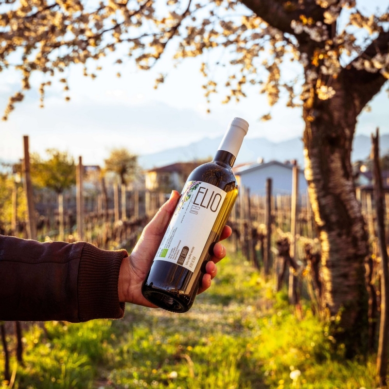 Elio Bianco BIO 2021 - Elio Vini