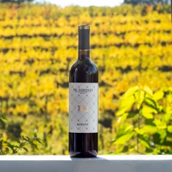 Merlot 2022 - De Lorenzi