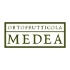 Ortofrutticola Medea soc.agr.S.r.l