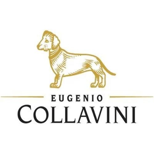 Collavini